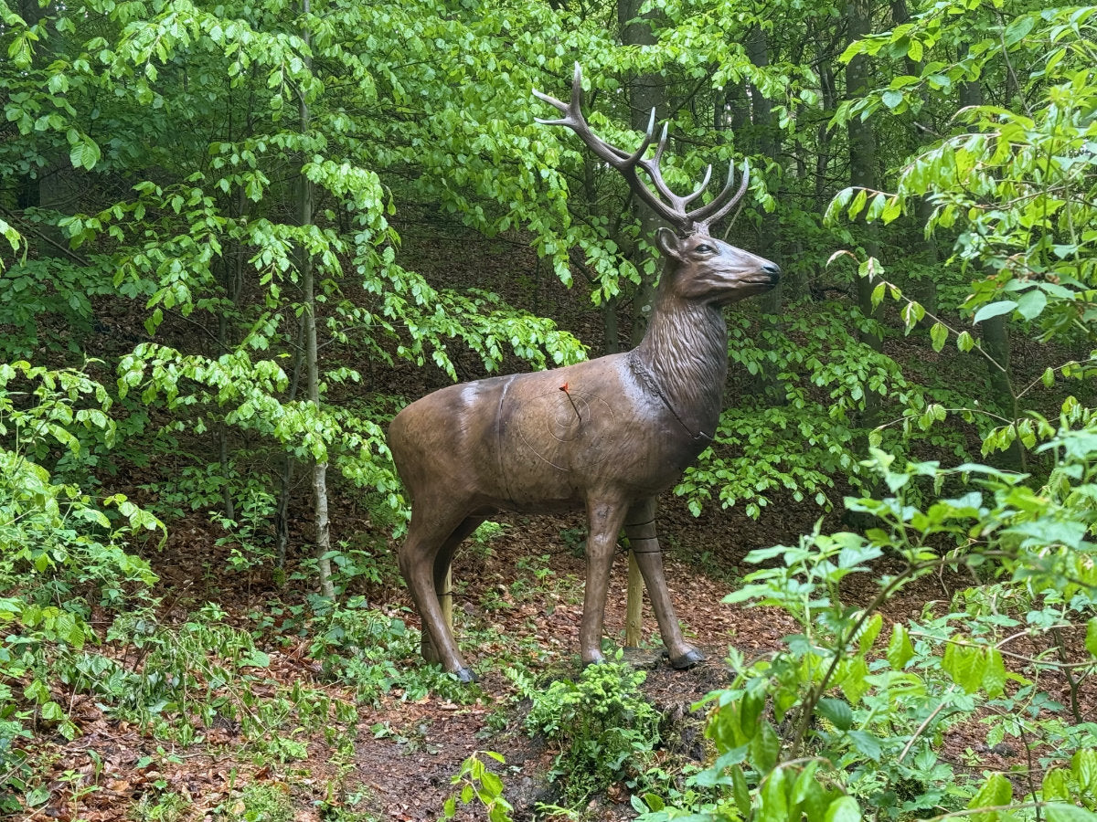 Jahreskarte Bogenparcours Kammerwald