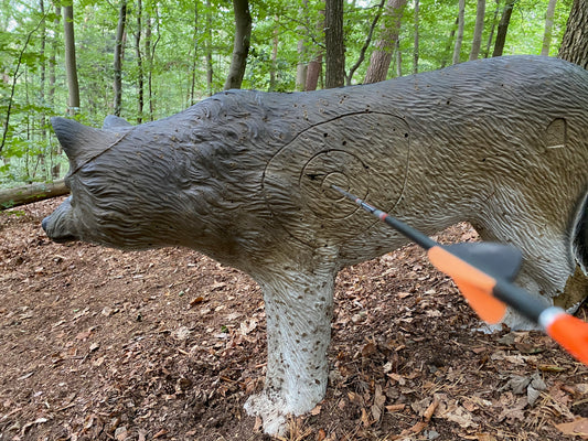 Schnupperkurs intuitives Bogenschiessen im 3D Parcour Schleiden