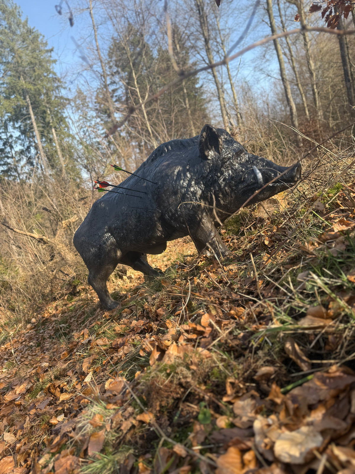 10 er Karte Bogenparcours Kammerwald