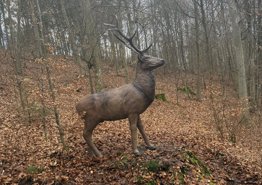 Jahreskarte Bogenparcours Kammerwald