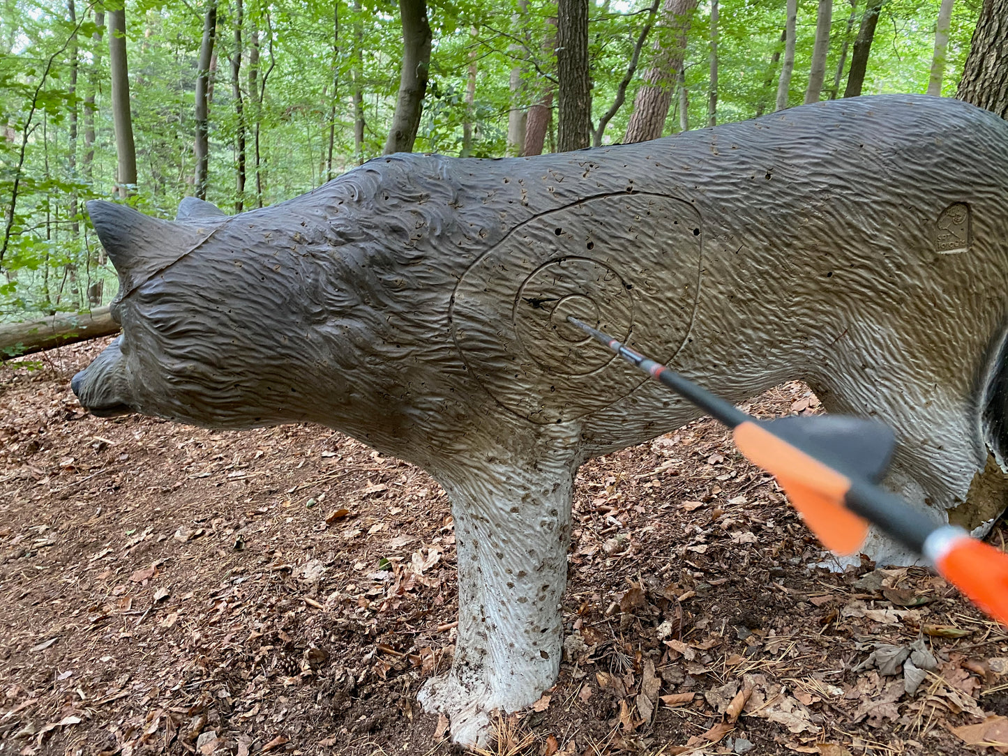 Schnupperkurs intuitives Bogenschiessen im 3D Parcour Schleiden